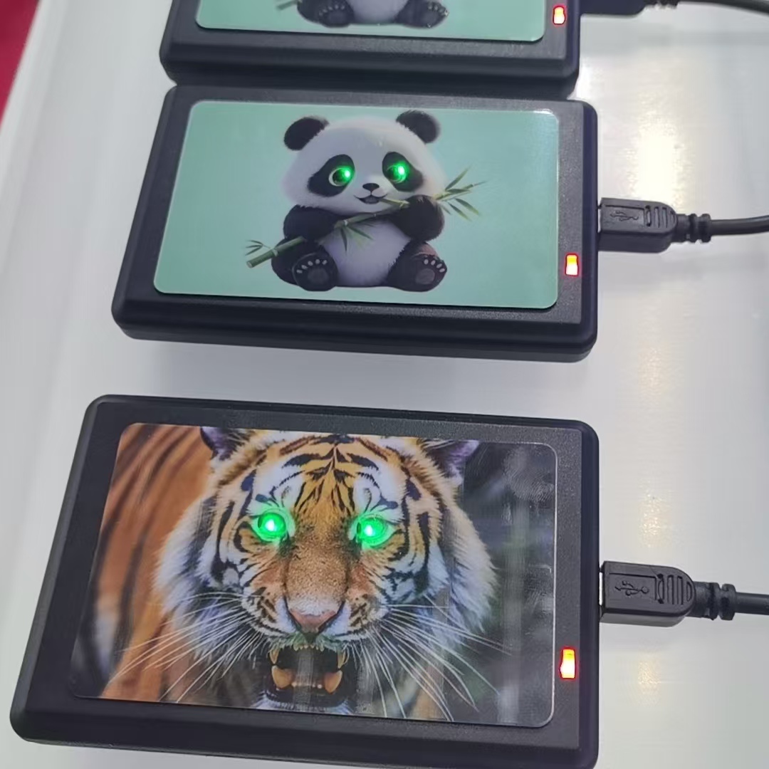 Nieuwe collectie 13,56 MHz op maat bedrukt F08 LED RFID-toegangscontrolekaart Contactloos NFC-visitekaartje met LED-licht