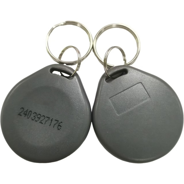 EM4305 Proximity Access Schl&uuml;sselanh&auml;nger mit RFID-Schl&uuml;sselanh&auml;nger